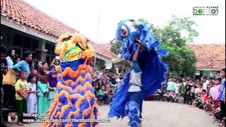 ATRAKSI BARONGSAI - ANDI PUTRA 3 - BONTOT RECORDS :: BONTOT PRODUCTION