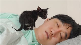 Tiny Rescued Kittens Wake Humans Up Politely!