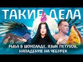 Рыба в шоколаде, Переводчик с петушиного, Нападение на чебурек  | Такие дела