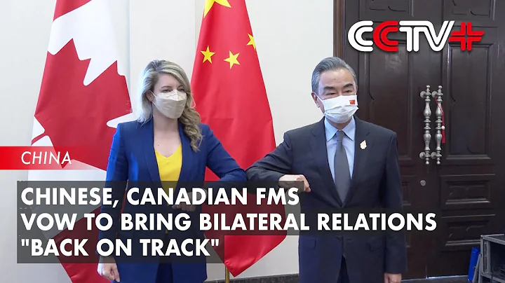 Chinese, Canadian FMs Vow to Bring Bilateral Relations "Back on Track" - DayDayNews