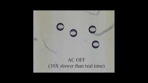 Electrocoalescence of paired droplets encapsulated in double-emulsion drops