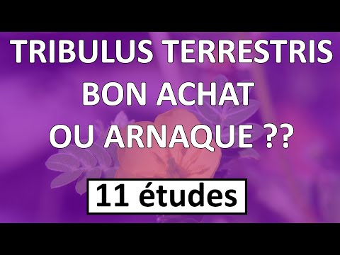 Tribulus terrestris pour la musculation – supplément efficace ou arnaque ? - Revue des études