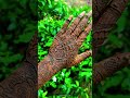 🌿 Simple & Elegant Mehndi Design #viral#art#shortsvideo#shorts#mehndi #trending#fyp#makeup#foryou