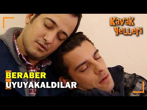 Efe ve Güven Uyuyakaldılar! - Kavak Yelleri 148. Bölüm