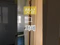 햇살 그 자체 원룸방#shorts #공인중개사 #쇼츠 #부동산 #병점원룸 #진안동원룸 #온라인집들이