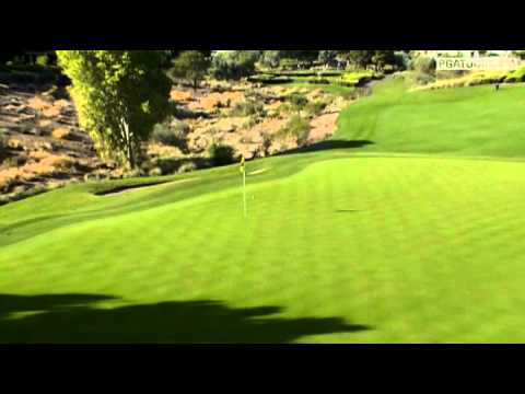 Webb Simpson's Hole In One at TPC Summerlin (2010)