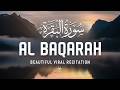 Surah Al-Baqarah Full (سورة البقرة) | Beautiful &amp; Powerful Tilawat | Alaa Aqel | Habibullah TV