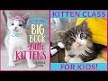 Kitten Class for KIDS! Book Reading and Q&A with Kitten Lady.