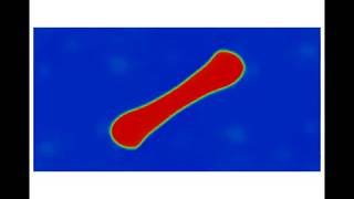 Droplet in a shear flow by the central moments-based lattice Boltzmann method
