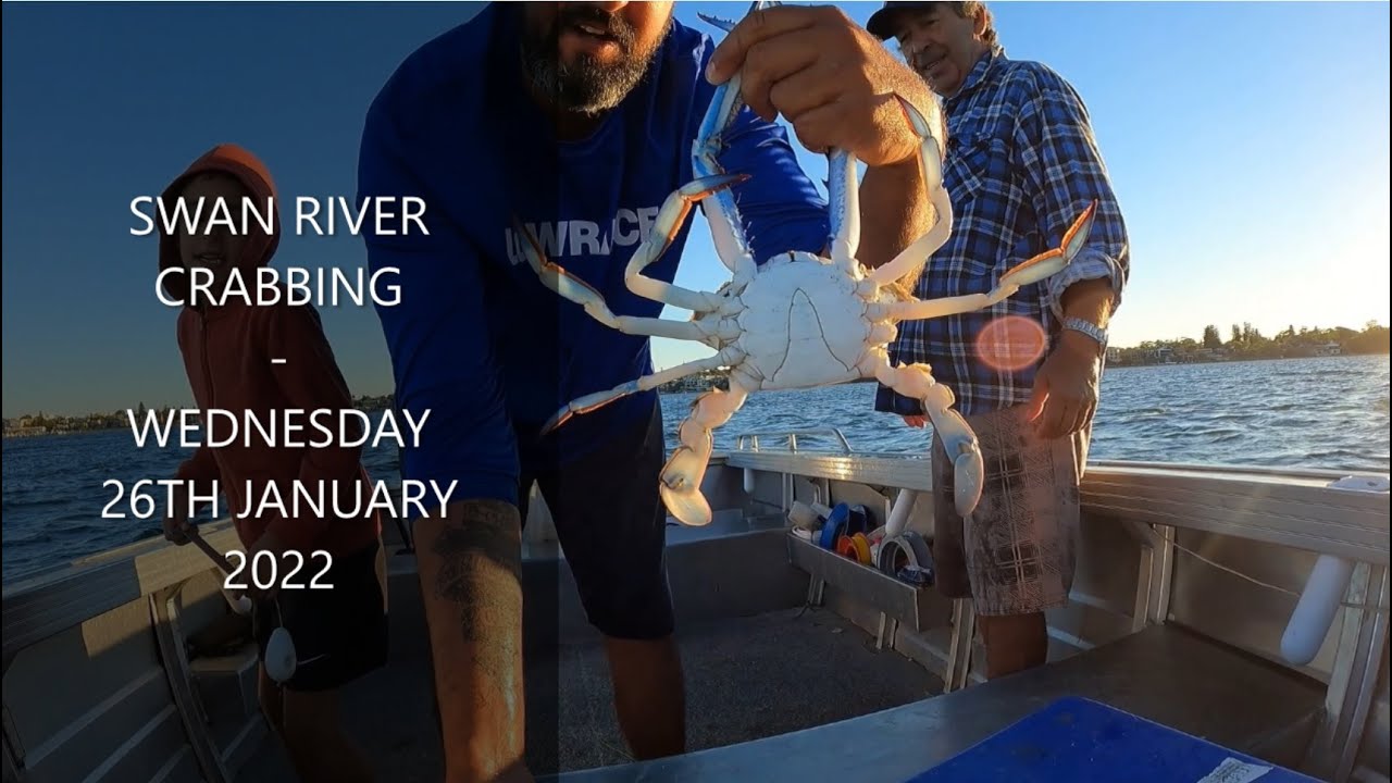 Swan River Crabbing 26th January 2022 YouTube