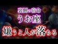 うお座の裏側、知ると震える。人の運命を変える星座【魚座の本性と宿命】