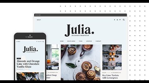 JULIA WordPress Theme - Customization Options Demo
