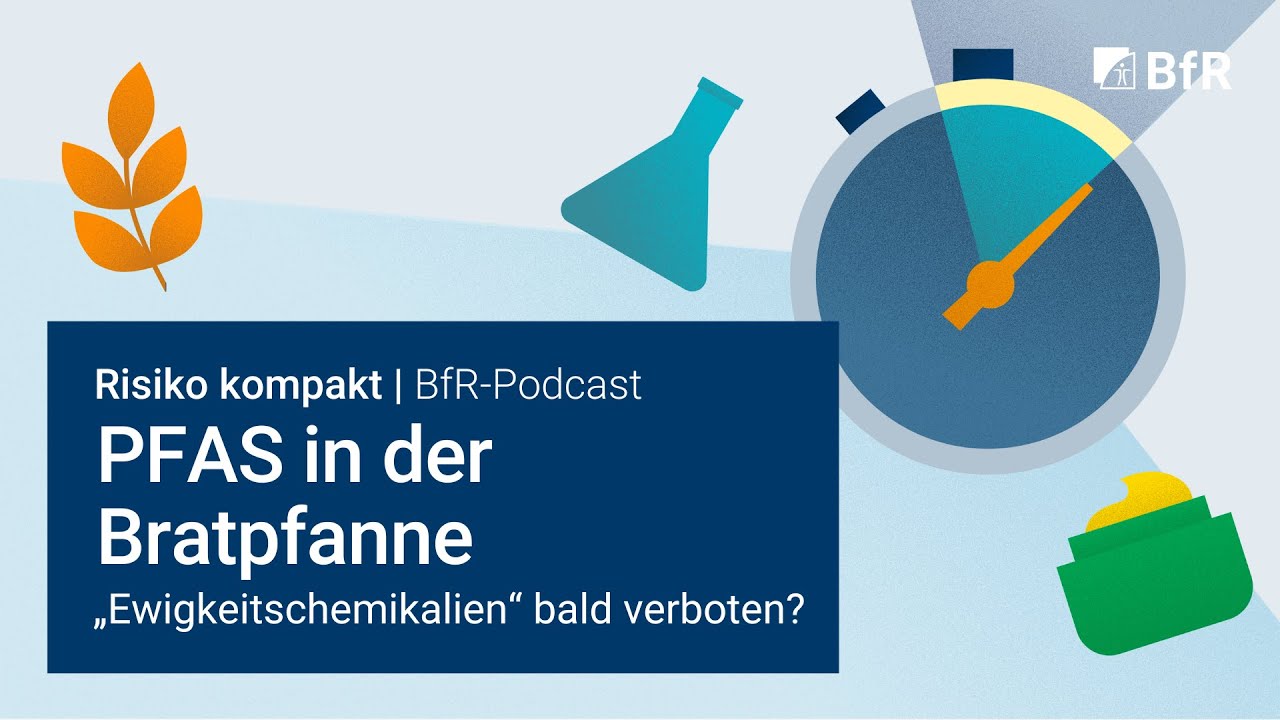 «Постоянно присутствующие химические вещества» ПФАС на сковороде: скоро ли их запретят?