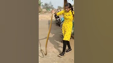Young Brave girl catching Big snake 😎😎😎 #shorts