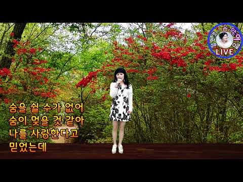 #사랑이아프다#가사첨부#원곡박정수#김민경의음악여행#하늘여행예술문화#트로트#대중음악#김민경TV#