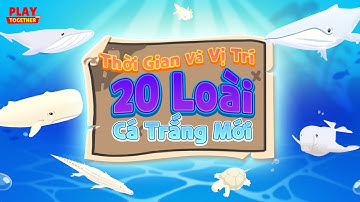 PLAY TOGETHER VNG | THỜI GIAN VÀ VỊ TRÍ 20 LOẠI CÁ TRẮNG MỚI PLAY TOGETHER!