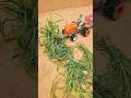 tiny tractor#green toys I Miny tractor Big work # shorts