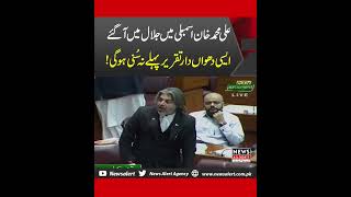 Ali Muhammad Khan Latest Speech In National Assembly | News Alert