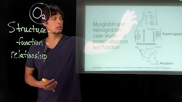 Topic 6.1 - Intro to structure function relationships