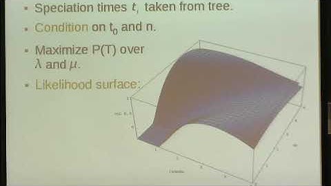 Dr. Wim Hordijk | Speciation & Extinction Rate Estimation from Phylogenetic Trees