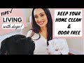 KEEPING YOUR HOUSE CLEAN WITH DOGS | TIPS FOR LIVING WITH PETS