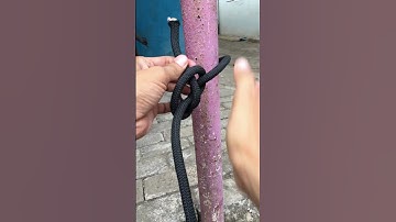 Incredible Bowline Knot #knot #knottutorial #strongknot