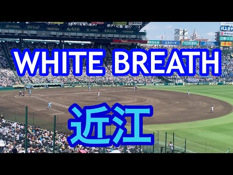 【近江】WHITE BREATHブラバン甲子園 応援歌 2022夏 第104回全国高校野球選手権大会