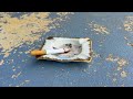 Together Pangea - Cigarette (Official Visualizer)
