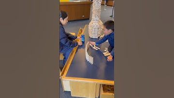 #jengablocks #jenga #blocks #dominoes #wooden #science #sciencecenter #berkeley