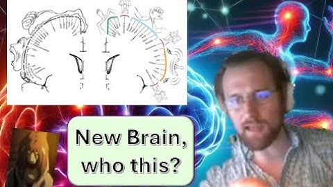 Somato-Cognitive Action Network: A New Homunculus in the Motor Cortex | MLBBQ | Theodore LaGrow