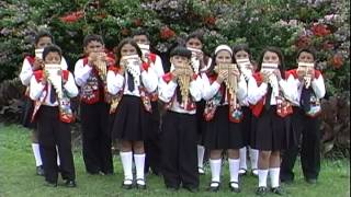 Video thumbnail of "VILLANCICO - SAYA DE NAVIDAD - GRUPO "AMADEUS" I. CHAMPAGNAT."