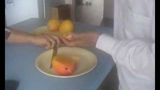 Mango Nov 2011.avi