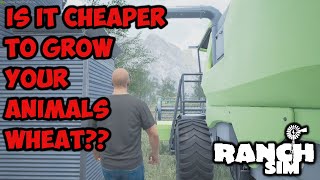 RANCH SIM SHOULD YOU SELL YOUR WHEAT OR FEED IT TO YOUR ANIMALS ?? screenshot 3