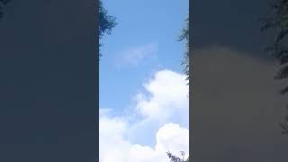 Download Lagu *short video* Katrina tik Tok video MP3