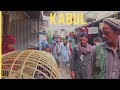 A DAY IN THE BIRDS MARKET KABUL AFGHANISTAN! 🅷🅳