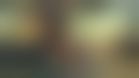 Fuck Elphelt [Part 01 -  Stupid Autopilot Free Wins Character]