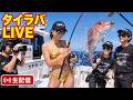 タイラバライブ