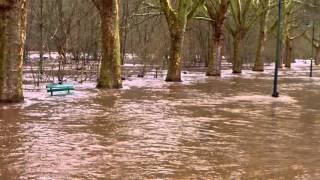 The Tobiprojekt,... Wasserbank,.....