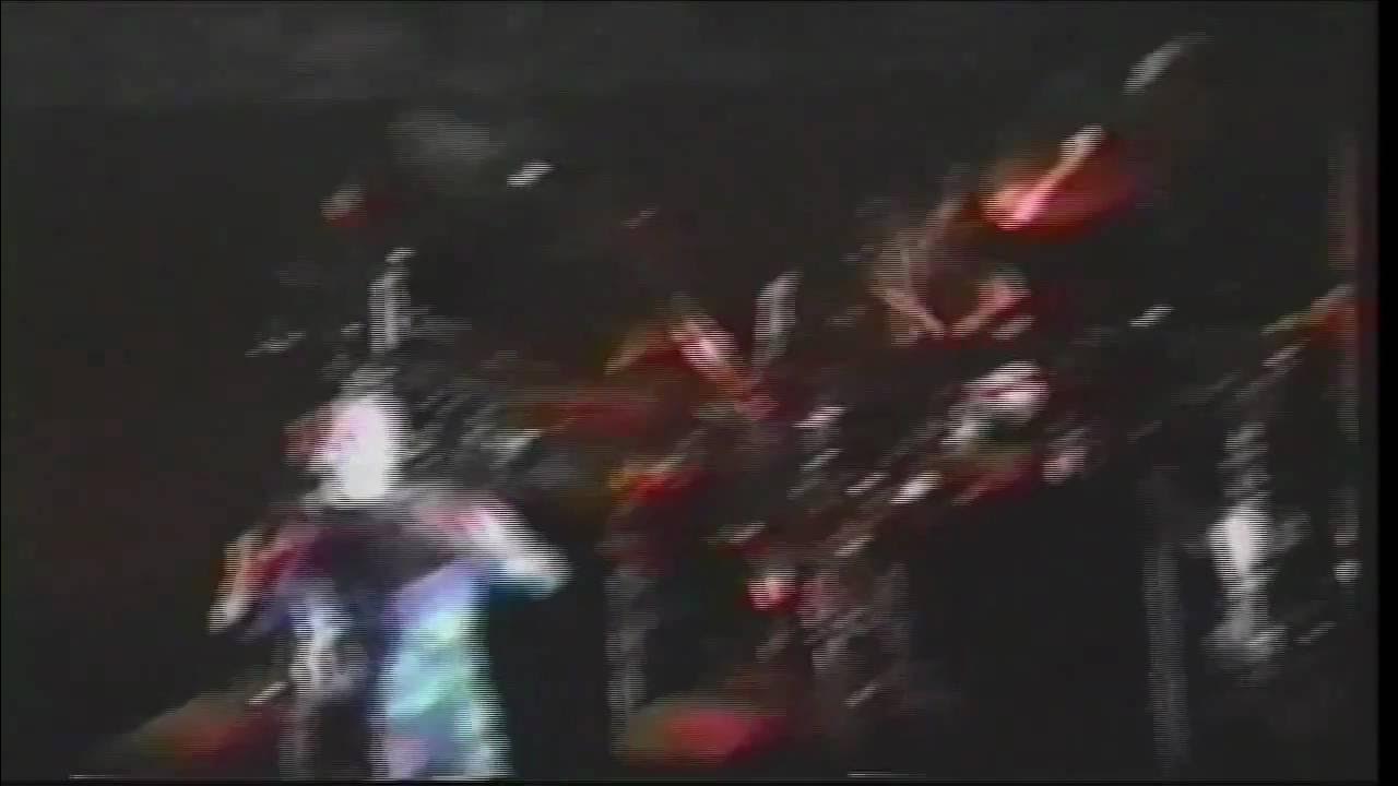 23 ноября 1996. Идрис шах "суфии". 23 ноября 1996. Столкновение над чархи дадри 1996. 23 ноября 1996.