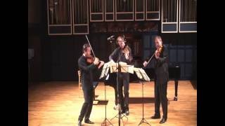 Kodaly:Serenade for 2 violins and viola.Benjamin Bowman,Michael Gurevich & Michel Camille.Esbjerg