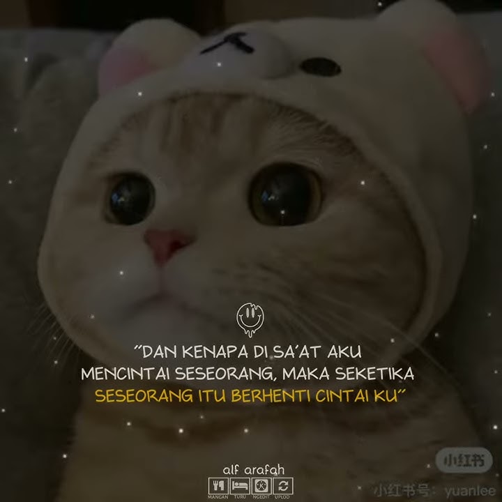 Story wa 31dtik||lagu barat terbaru