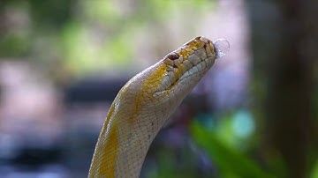 高效的爬虫架构 适用于电商社交媒体等领域的网络数据抓取还可扩展到其他需要高效数据处理的场景