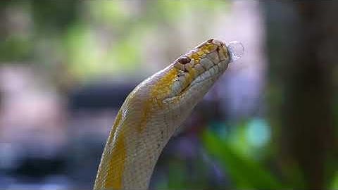 高效的爬虫架构 适用于电商社交媒体等领域的网络数据抓取还可扩展到其他需要高效数据处理的场景