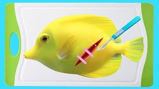 Fun Cooking for Kids Fun Making Yummy Sushi Children Play Fun Kitchen Kids Games screenshot 2