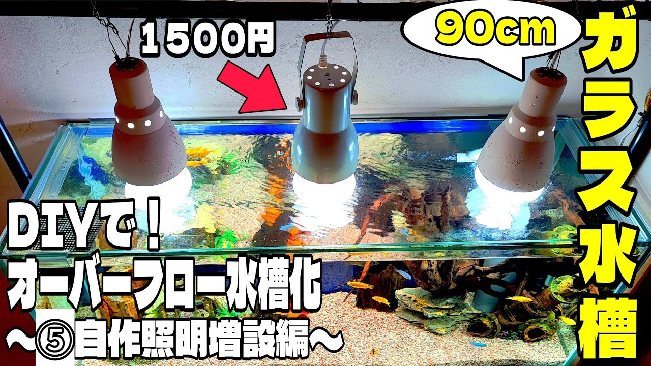 DIY! Turning a glass aquarium into an overflow tank ⑤ Adding