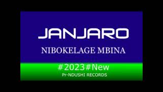 Janjaro Nibokelage Mbina Done By Ndushi Records