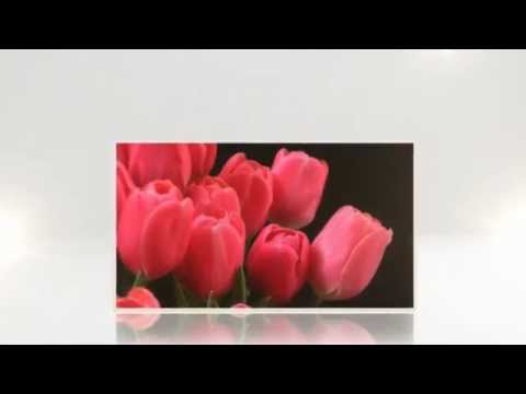 С 8 марта. Поздравление с 8 марта. Видео-открытка.