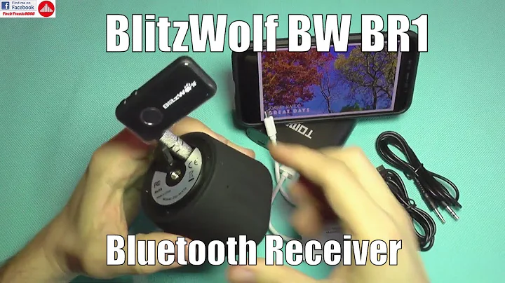 BlitzWolf BW BR1 - Bluetooth Car Handsfree & Music Receiver