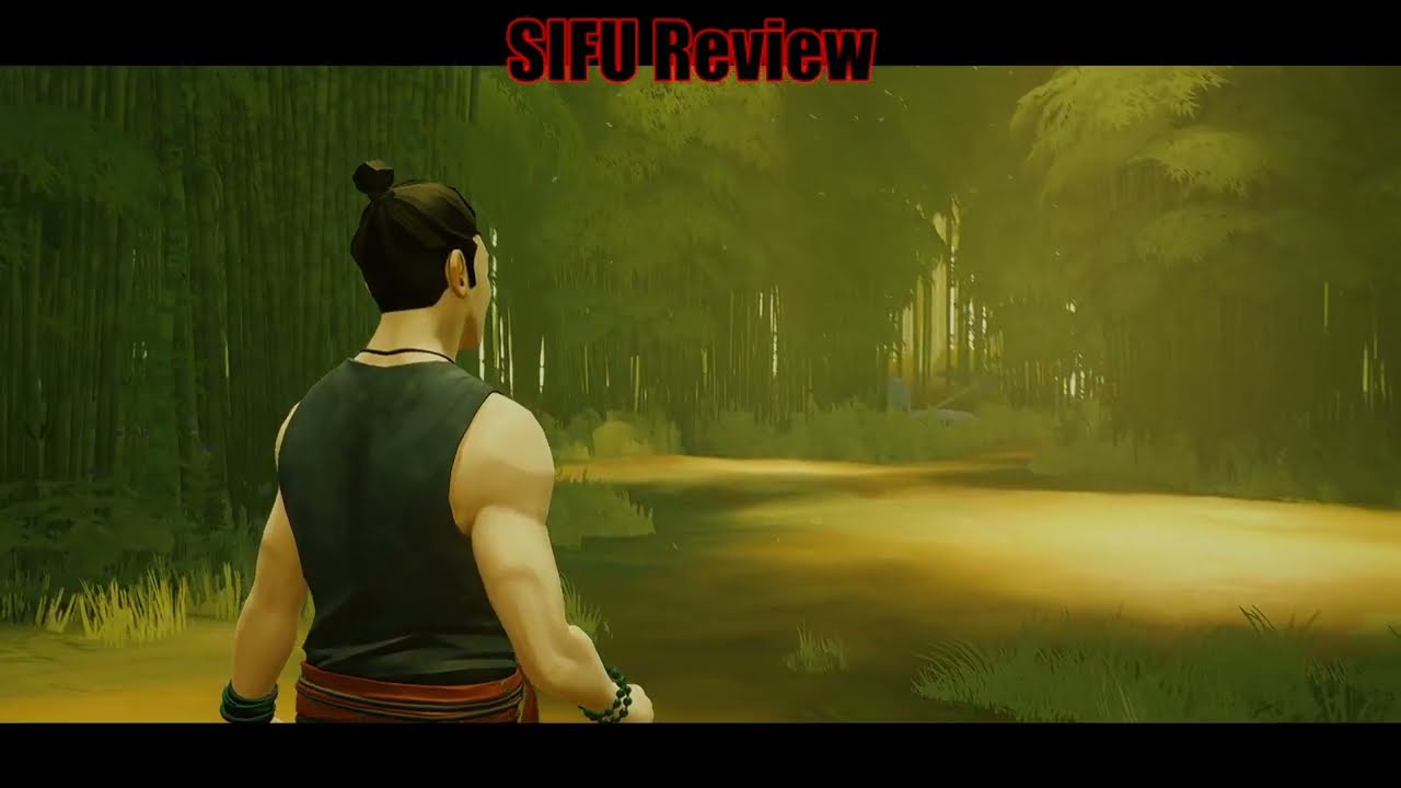 Sifu Review! ! 1st Review so go easy on me!