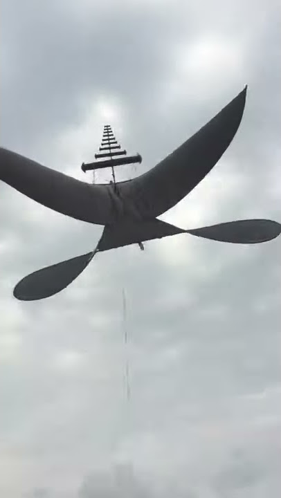 Diều 3m5 còi d70 thả gió bão và cái kết